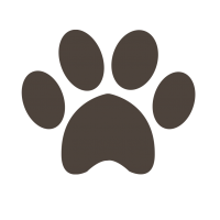Guarderia canina